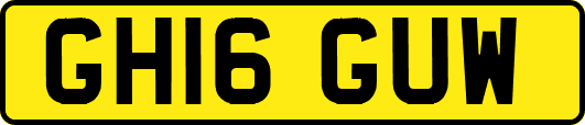 GH16GUW