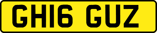 GH16GUZ