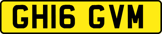GH16GVM