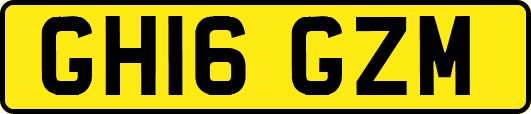 GH16GZM