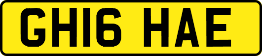 GH16HAE