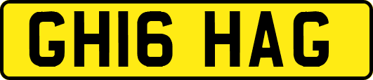 GH16HAG