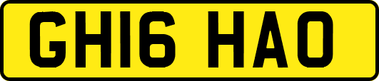 GH16HAO