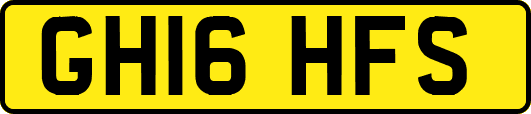 GH16HFS