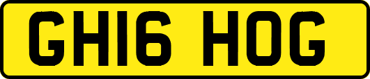 GH16HOG