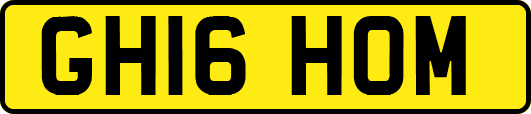 GH16HOM