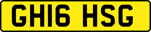 GH16HSG