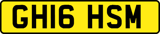 GH16HSM