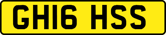GH16HSS