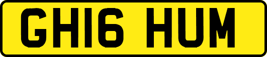 GH16HUM