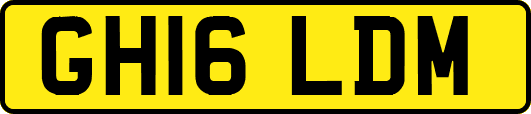GH16LDM