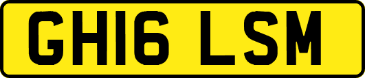 GH16LSM