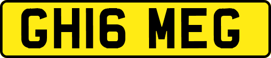 GH16MEG