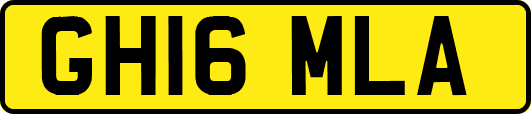 GH16MLA