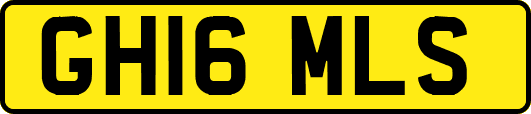 GH16MLS