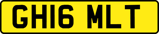 GH16MLT