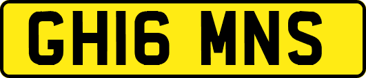 GH16MNS