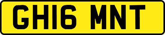 GH16MNT