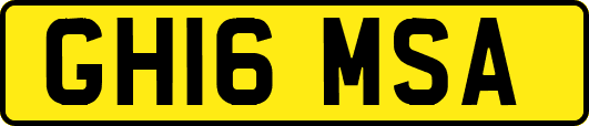 GH16MSA