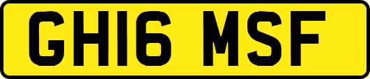 GH16MSF