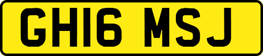 GH16MSJ