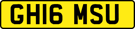 GH16MSU