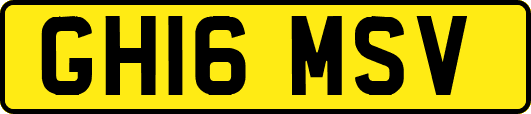 GH16MSV