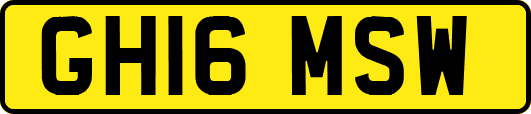 GH16MSW