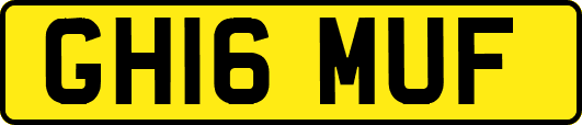 GH16MUF