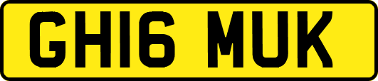 GH16MUK