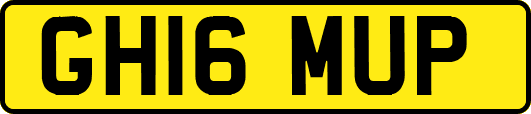 GH16MUP