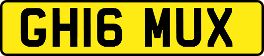 GH16MUX
