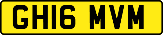 GH16MVM