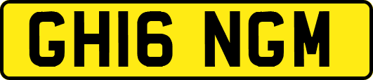 GH16NGM
