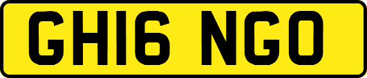 GH16NGO