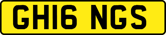 GH16NGS