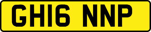 GH16NNP
