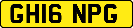 GH16NPG