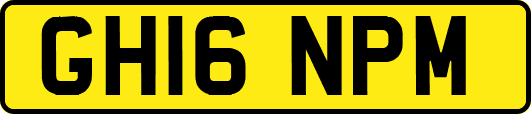 GH16NPM