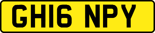 GH16NPY