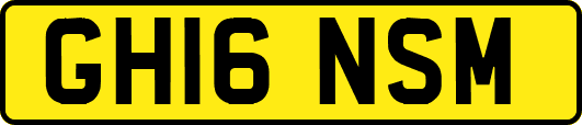 GH16NSM