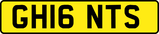 GH16NTS