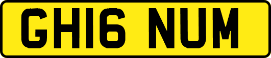 GH16NUM