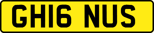GH16NUS