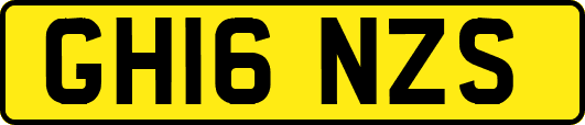 GH16NZS