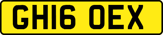 GH16OEX