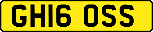 GH16OSS