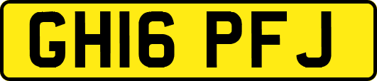 GH16PFJ