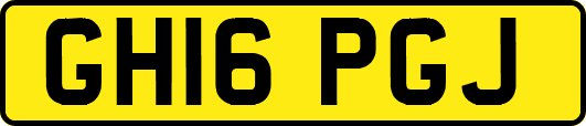 GH16PGJ