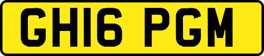 GH16PGM